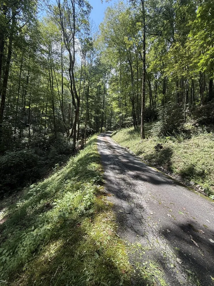 Expert landscape installation with custom design across Sylva, NC - Project Lawn Care