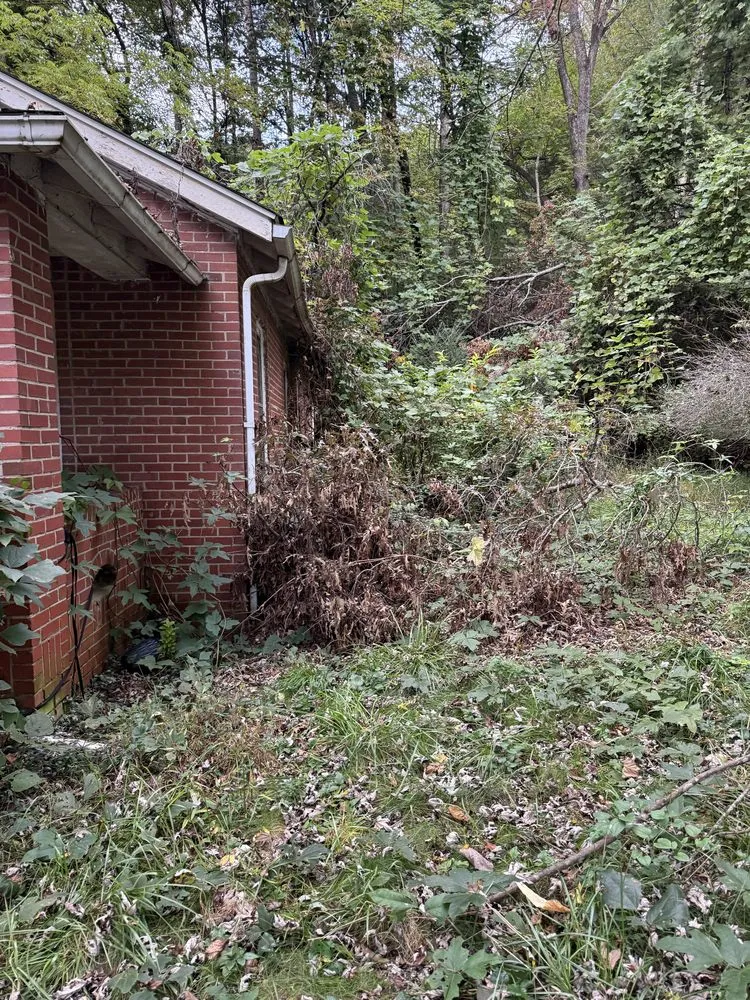 Professional landscape installation in Sylva, NC by Project Lawn Care