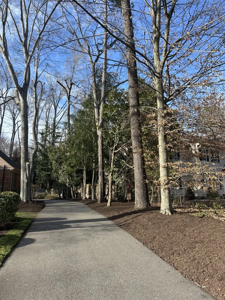 Professional outdoor landscaping near you across Midlothian, VA - Project Lawn Pros