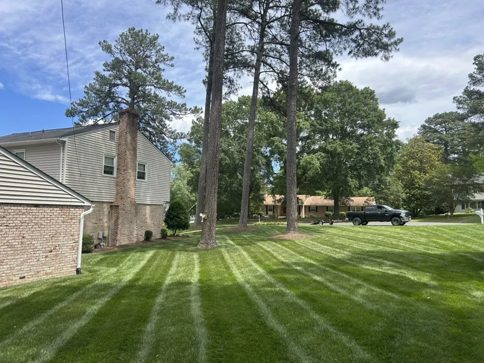 Expert yard cleanup service in Midlothian, VA - Project Lawn Pros