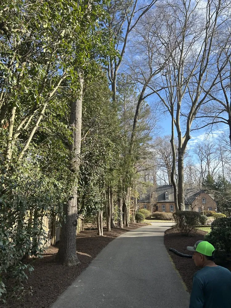 Affordable residential landscaping for beautiful yards in Midlothian, VA by Project Lawn Pros