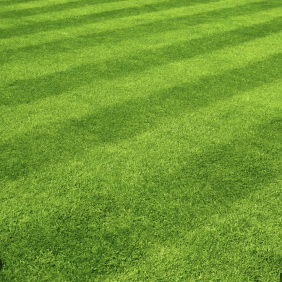 Expert residential landscaping experts serving Marietta, PA - Project One Landscaping