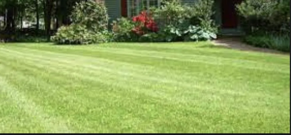 Custom landscaping services for beautiful yards across Marietta, PA - Project One Landscaping