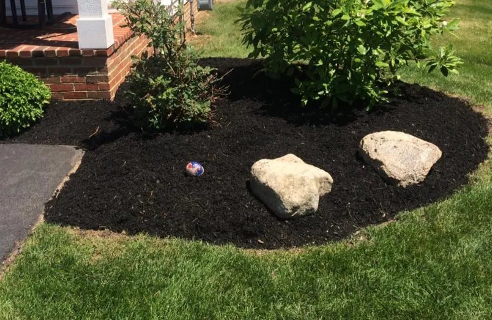 Top-rated yard cleanup service experts serving Marietta, PA - Project One Landscaping