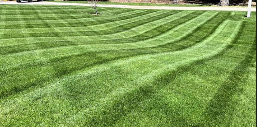 Local landscape design in Marietta, PA - Project One Landscaping