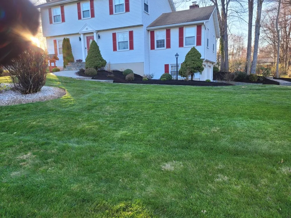 Top-rated landscape design in Bloomfield, CT - Project Revive Landscaping Design