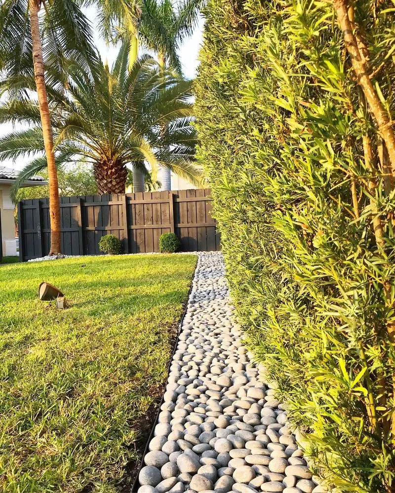 Reliable lawn care service experts serving Coral Gables, FL - Project Xerofitus