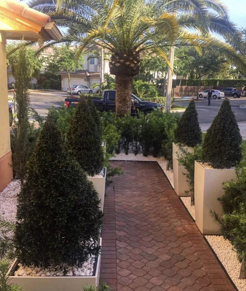 Reliable landscape installation near you across Coral Gables, FL - Project Xerofitus