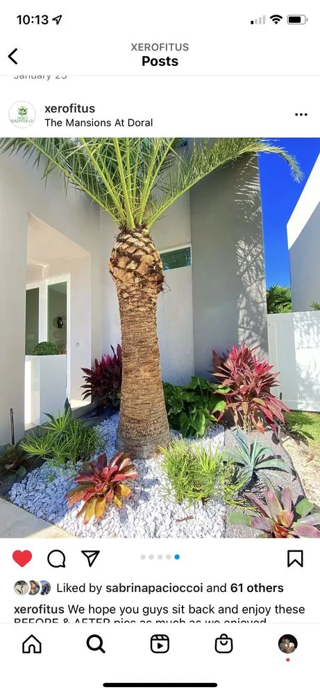 Trusted lawn mowing service in Coral Gables, FL - Project Xerofitus