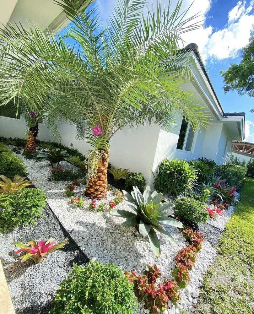 Top-rated residential landscaping experts serving Coral Gables, FL - Project Xerofitus