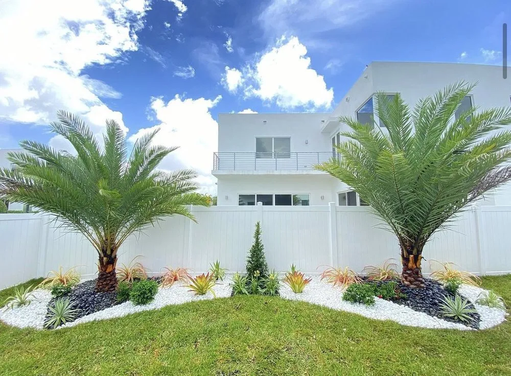 Expert yard cleanup service experts serving Coral Gables, FL - Project Xerofitus