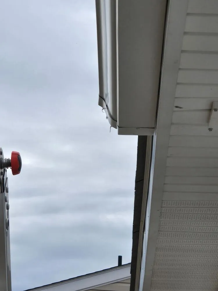 Affordable yard maintenance in Myrtle Beach, SC by Projects Done 4u