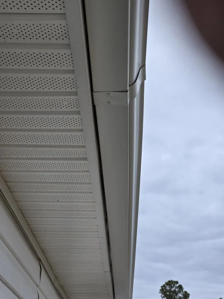 Professional yard cleanup service in Myrtle Beach, SC by Projects Done 4u