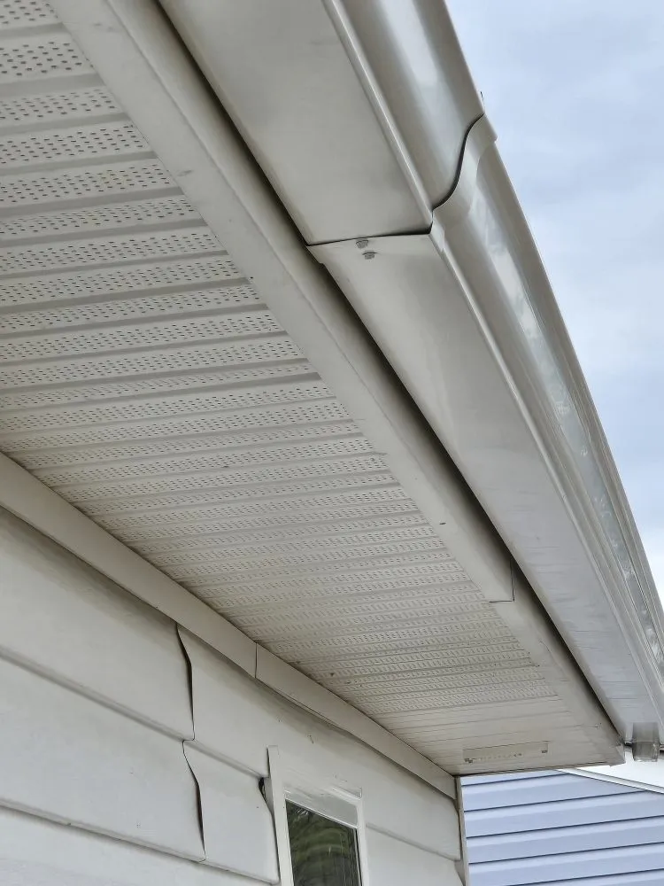 Reliable yard cleanup service for beautiful yards across Myrtle Beach, SC - Projects Done 4u