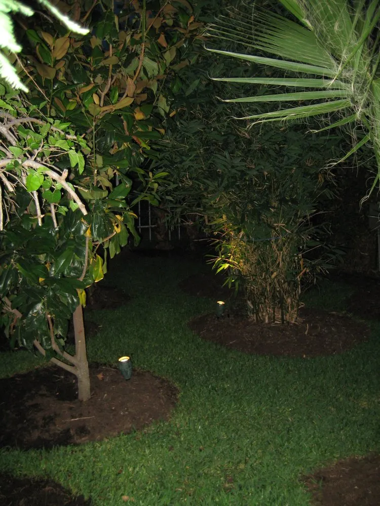 Affordable yard cleanup service for residential properties in Cedar Park, TX by Projects Plus Austin