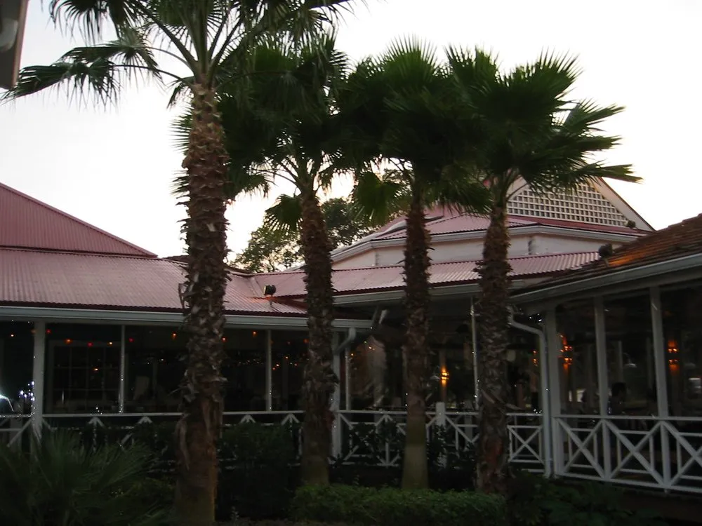 Custom lawn care service with custom design in Cedar Park, TX by Projects Plus Austin