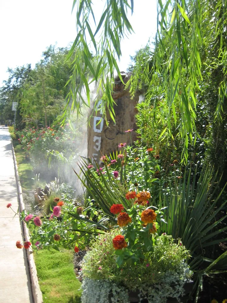 Top-rated lawn care service with custom design across Cedar Park, TX - Projects Plus Austin