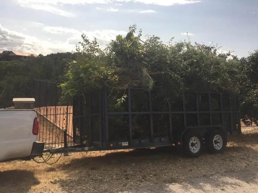 Reliable outdoor landscaping experts serving Cedar Park, TX - Projects Plus Austin