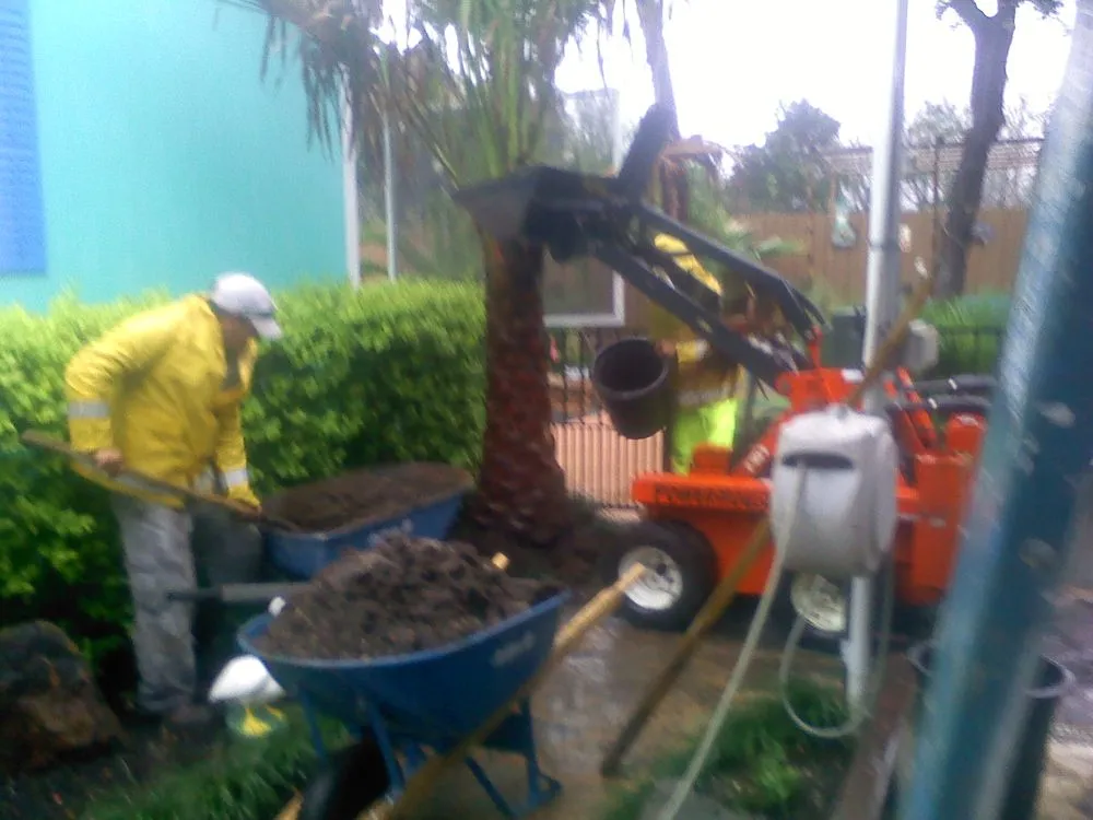 Professional yard cleanup service near you in Cedar Park, TX by Projects Plus Austin