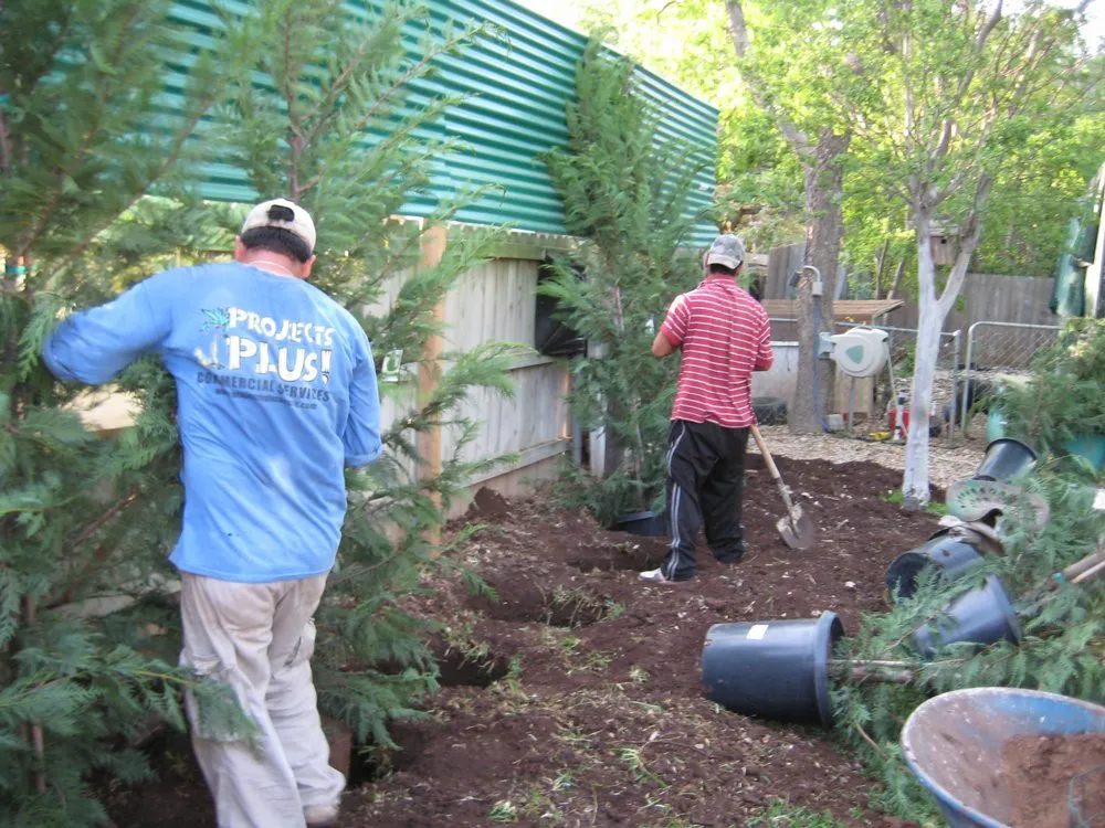 Trusted garden landscaping with custom design across Cedar Park, TX - Projects Plus Austin