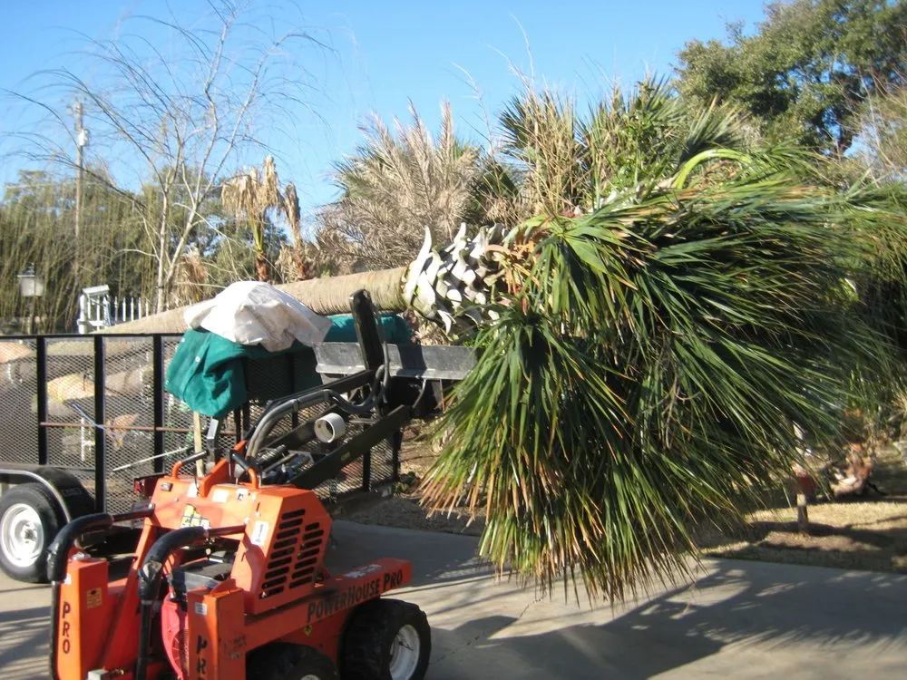 Trusted landscaping services near you across Cedar Park, TX - Projects Plus Austin