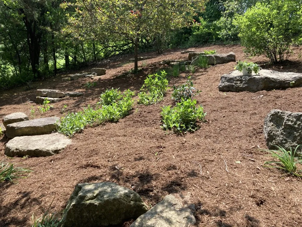 Top-rated lawn care service for residential properties across Madison, WI - Projects With Julia