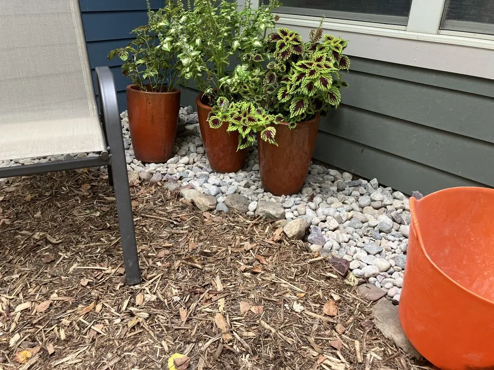 Professional landscaping services for outdoor upgrades in Madison, WI by Projects With Julia