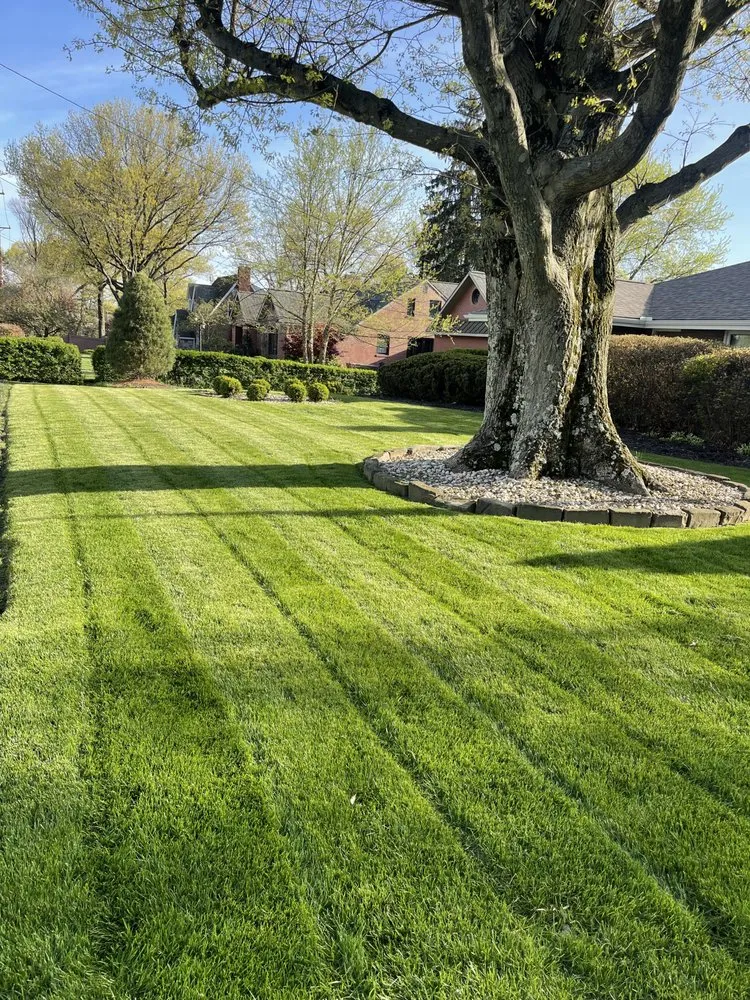 Local yard maintenance for homes in Pittsburgh, PA by Prokal Landscaping