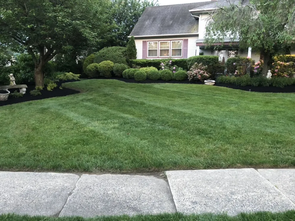 Top-rated yard maintenance experts serving Pennsauken, NJ - ProLand Landscaping