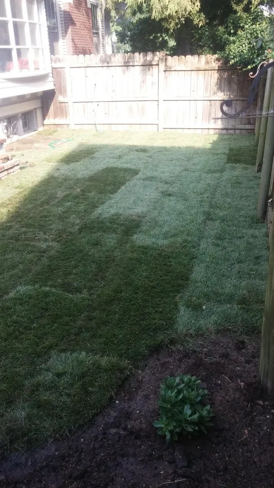 Local yard maintenance in Jefferson City, MO by ProLawn Landscape Maintenance