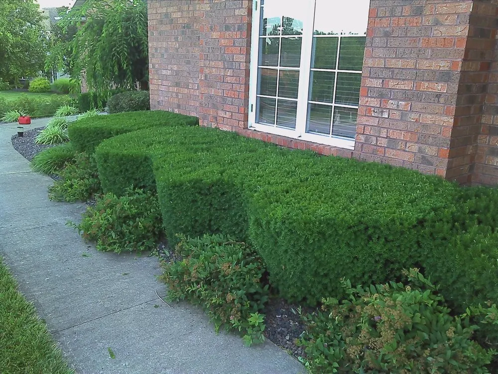 Custom outdoor landscaping experts serving Jefferson City, MO - ProLawn Landscape Maintenance