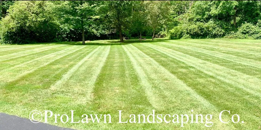 Trusted lawn care service experts serving Altoona, PA - Prolawn Landscaping & Maintenance