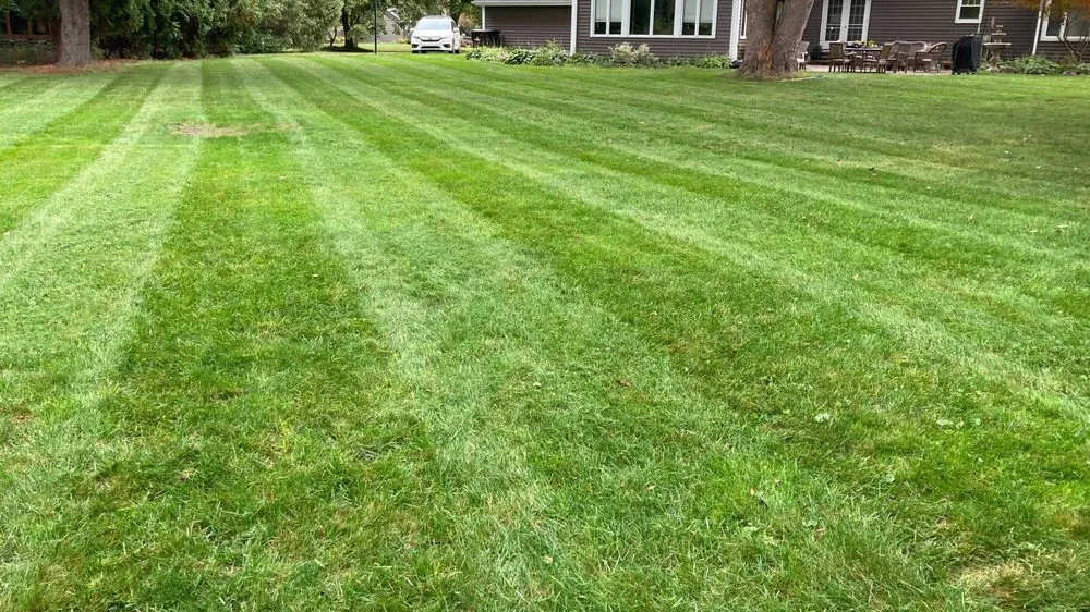 Reliable landscaping services in Midland, MI by Prolawn Solutions