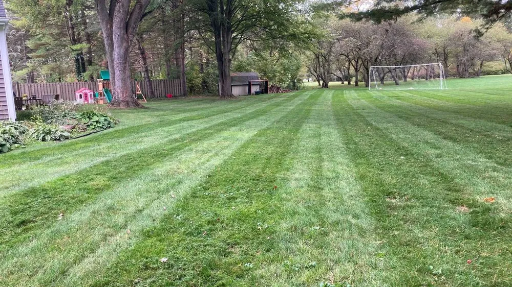 Custom garden landscaping for beautiful yards in Midland, MI by Prolawn Solutions