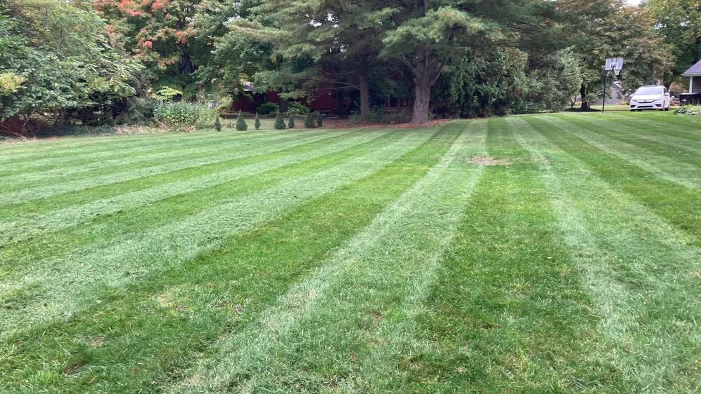 Local lawn mowing service for homes across Midland, MI - Prolawn Solutions