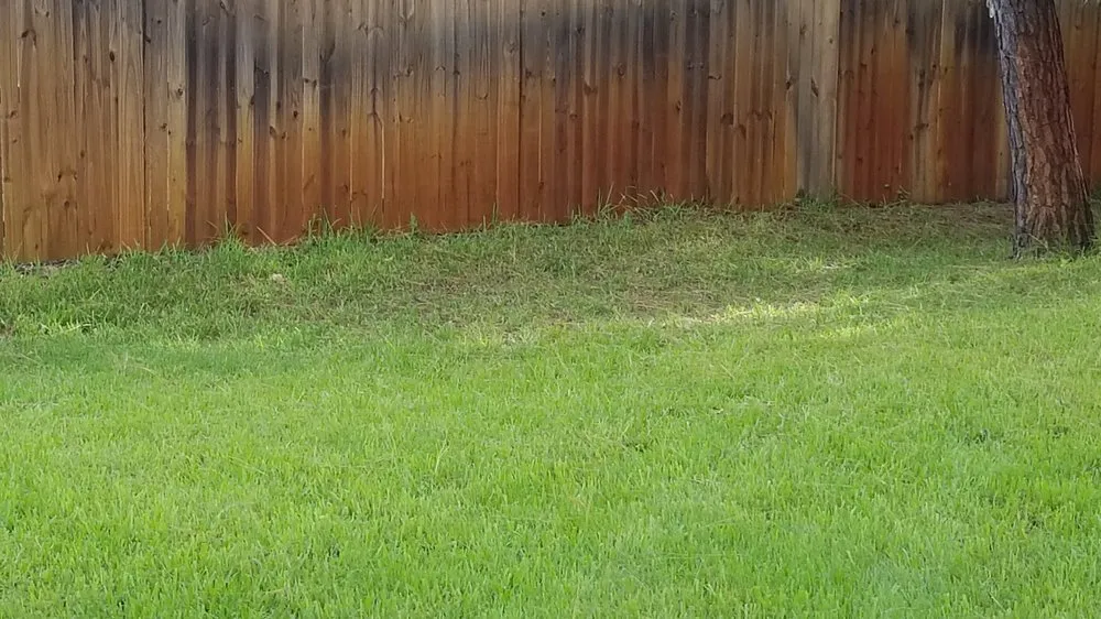 Custom yard maintenance in Cocoa, FL by Prolawn Turf & Landscape Management