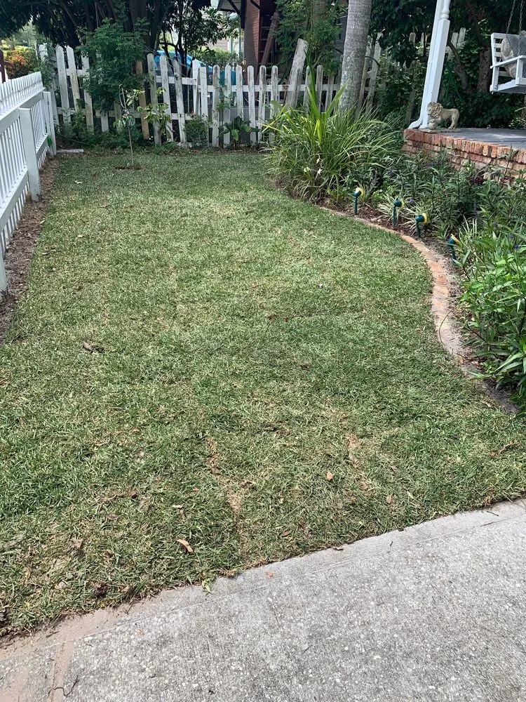 Professional outdoor landscaping for homes across Cocoa, FL - Prolawn Turf & Landscape Management