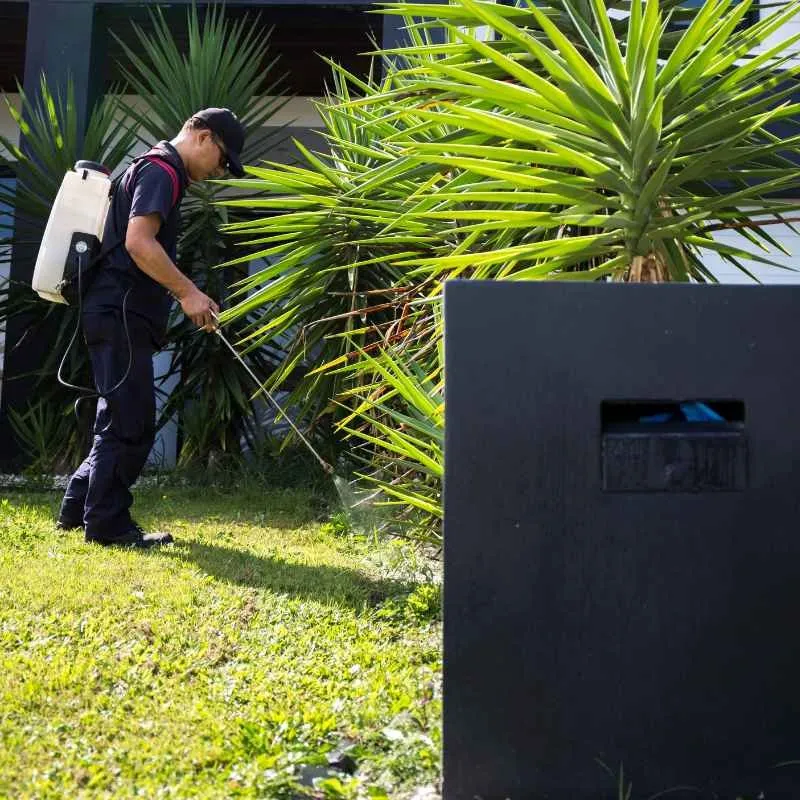 Custom landscaping services in Cocoa, FL by Prolawn Turf & Landscape Management