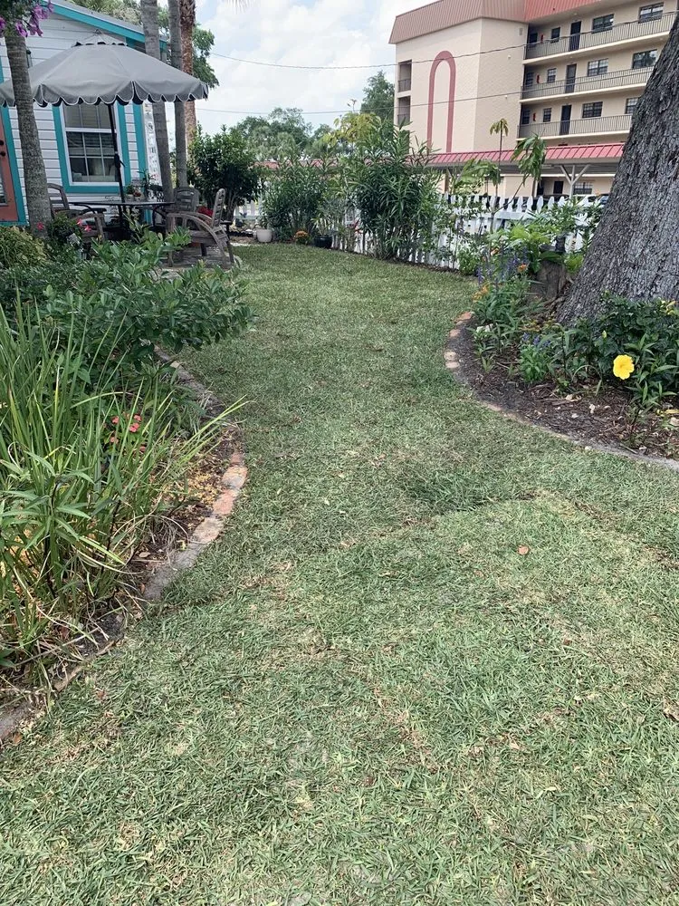 Local landscaping services for outdoor upgrades in Cocoa, FL by Prolawn Turf & Landscape Management