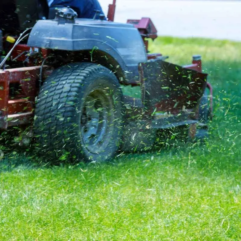 Local lawn mowing service for residential properties in Cocoa, FL by Prolawn Turf & Landscape Management
