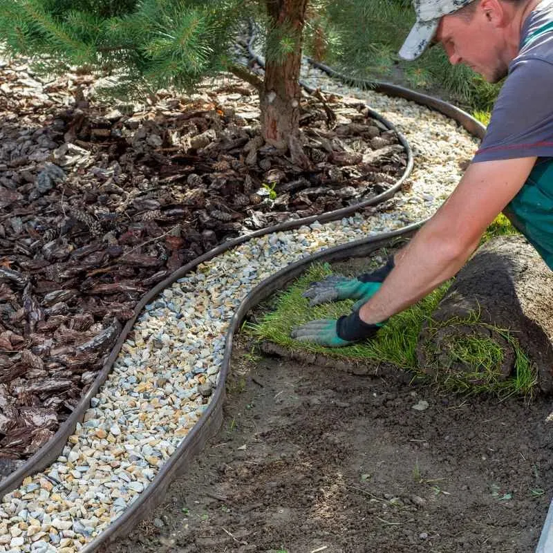 Top-rated landscaping services in Cocoa, FL - Prolawn Turf & Landscape Management