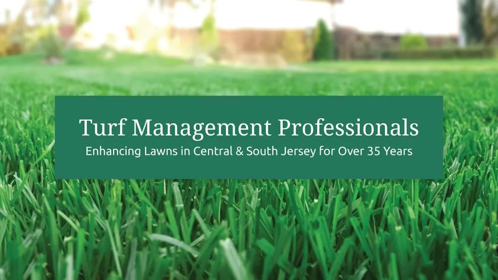 Expert lawn mowing service in Vincentown, NJ by Prolawn Turf Management Professionals