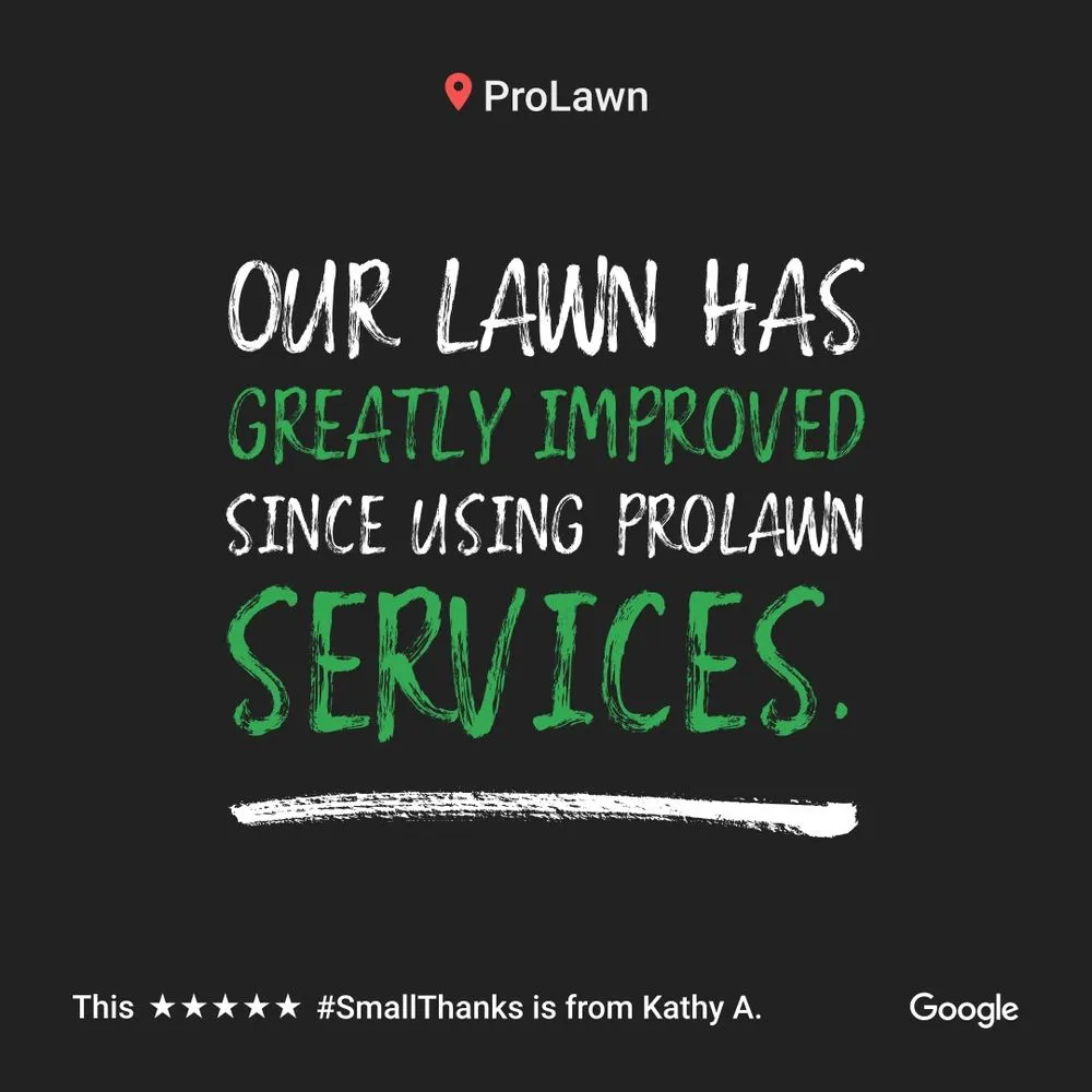 Professional outdoor landscaping for homes across Winchester, VA - Prolawn