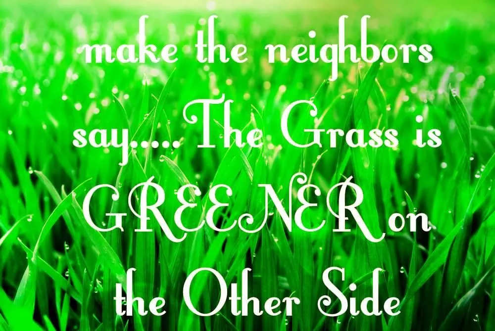 Affordable lawn mowing service for residential properties across Winchester, VA - Prolawn