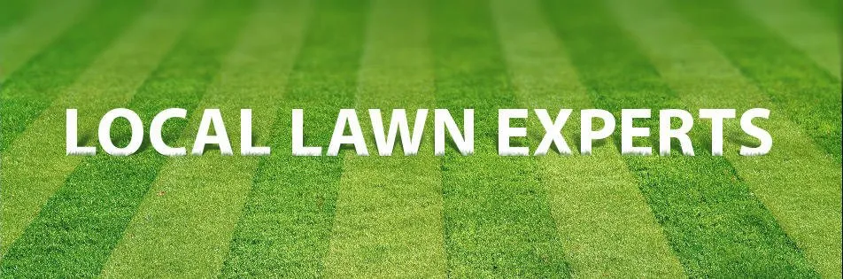 Trusted residential landscaping for outdoor upgrades in Winchester, VA by Prolawn