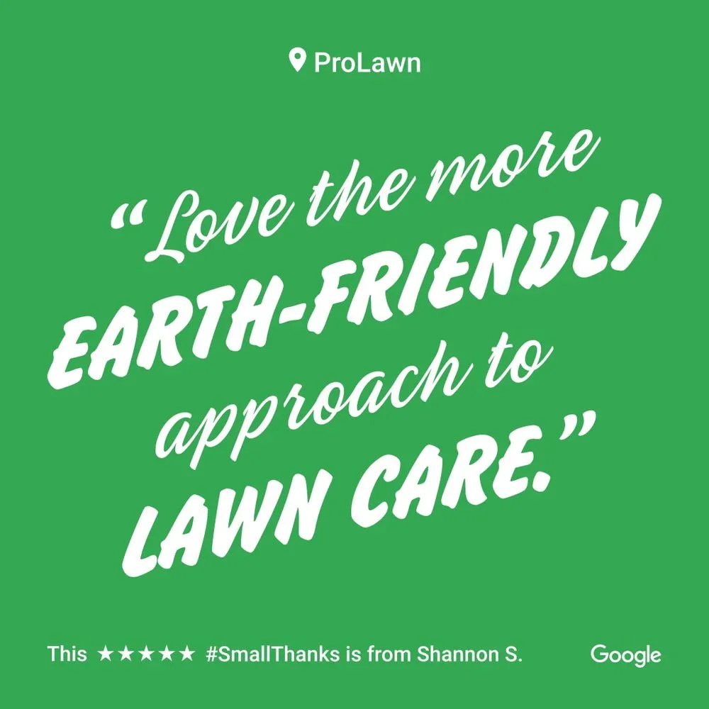 Professional lawn care service for homes in Winchester, VA by Prolawn