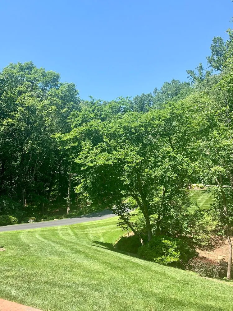 Top-rated landscape design in Winchester, VA - Prolawn