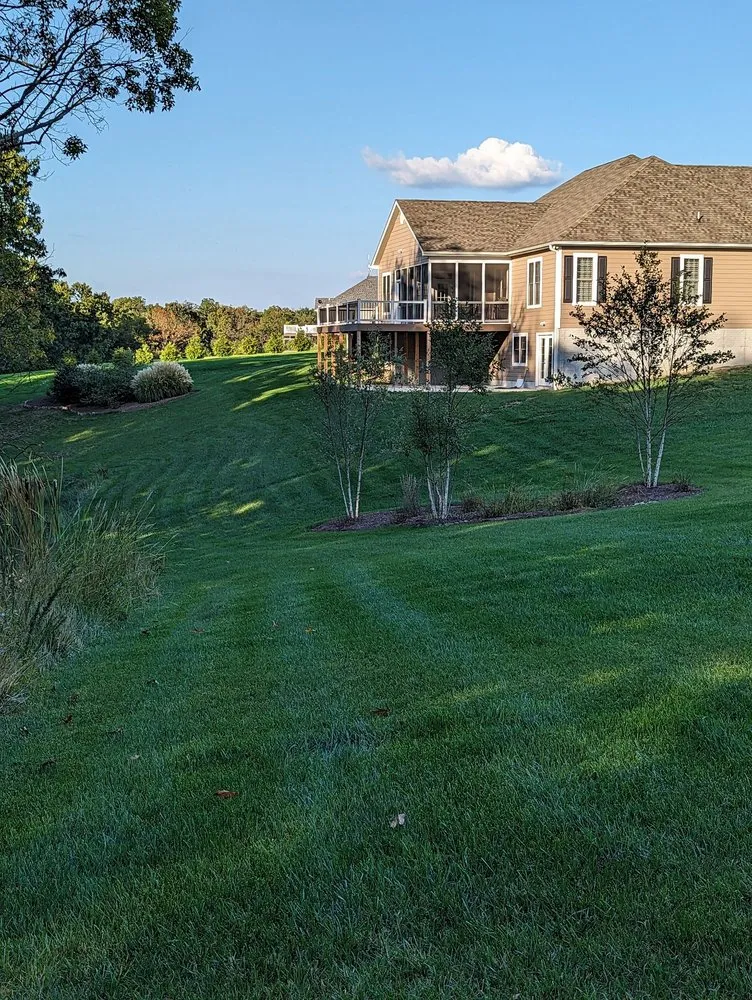 Local yard cleanup service in Winchester, VA - Prolawn