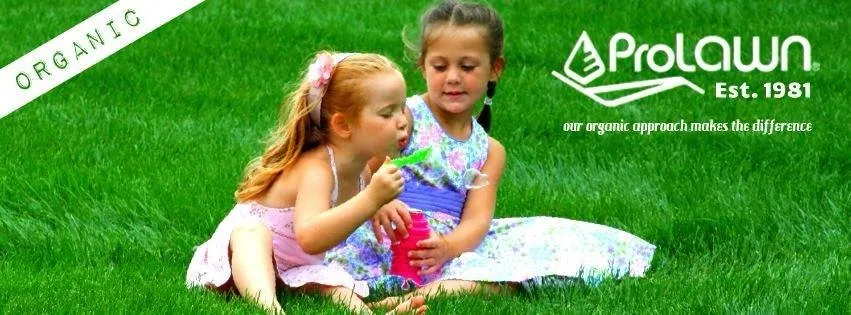 Reliable outdoor landscaping for beautiful yards across Winchester, VA - Prolawn