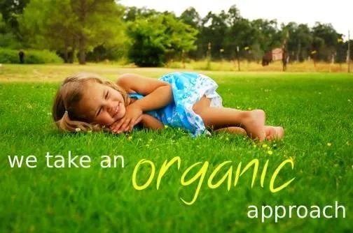 Professional outdoor landscaping near you across Winchester, VA - Prolawn